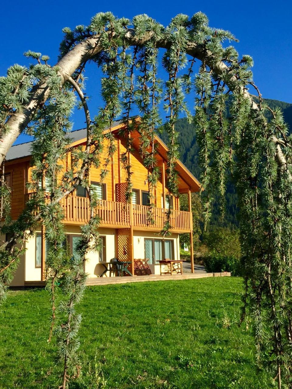 Les Chalets Fleurs De France - Kota Saint-Dalmas Екстер'єр фото