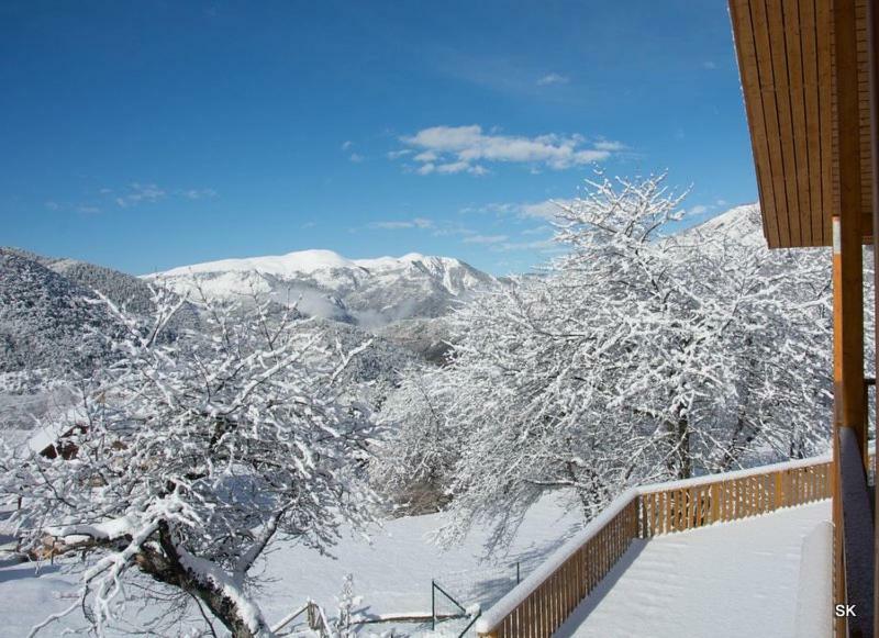 Les Chalets Fleurs De France - Kota Saint-Dalmas Екстер'єр фото